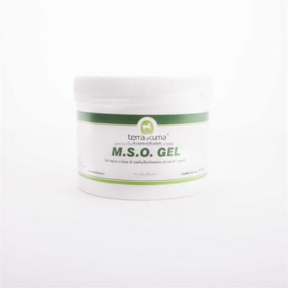 mso gel