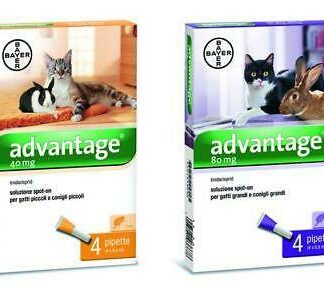advantage antiparassitario gatti