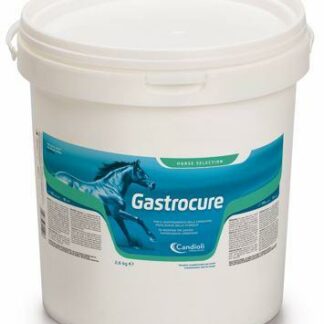 CANDIOLI GASTROCURE INTEGRATORE