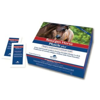 RESURGEN HORSE MUSCLE PLUS