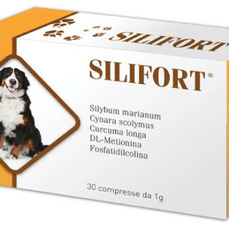 Silifort Compresse integratore cani