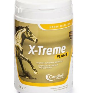 candioli x-treme flame integratore