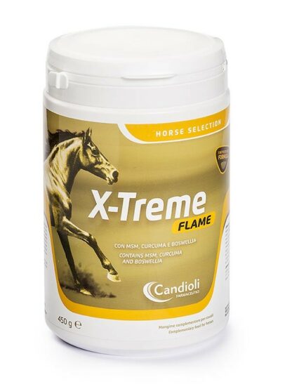 candioli x-treme flame integratore