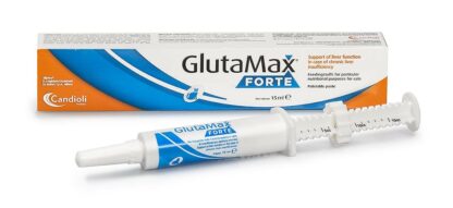 glutamax forte pasta