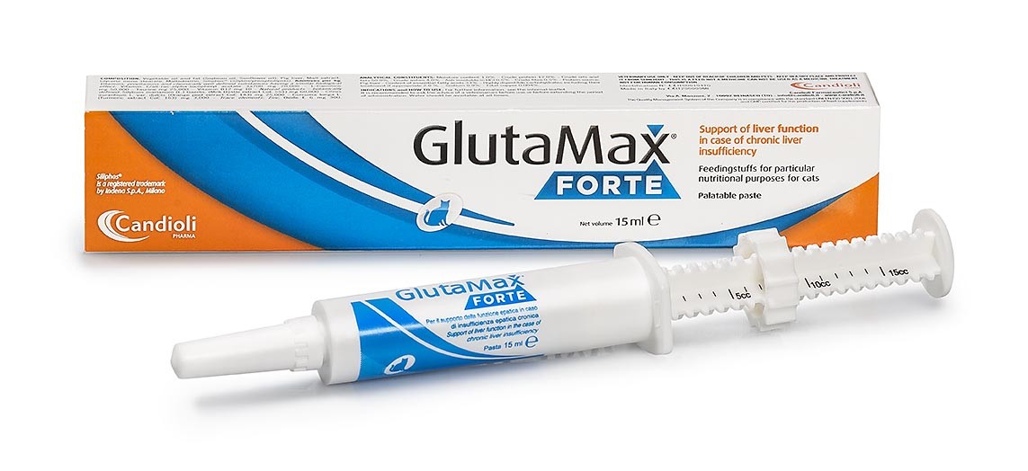 glutamax