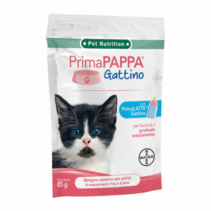 primapappa gattini