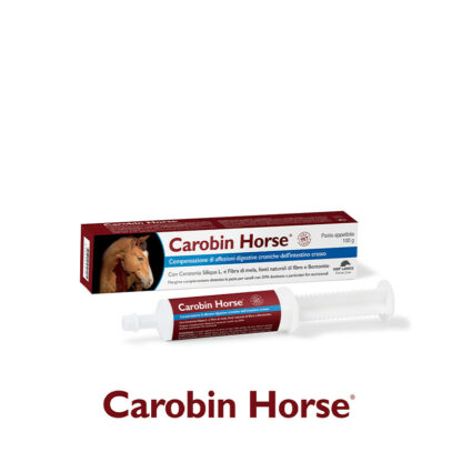 carobin horse