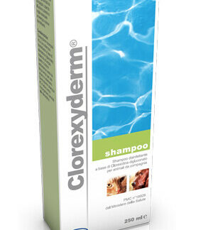 icf clorexyderm shampoo cane