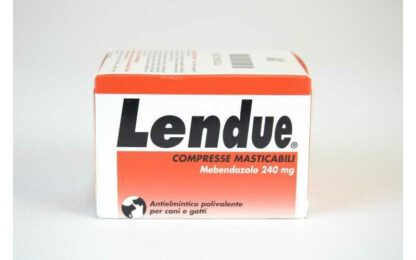 lendue compresse