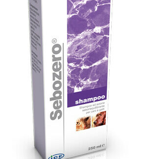 sebozero shampoo