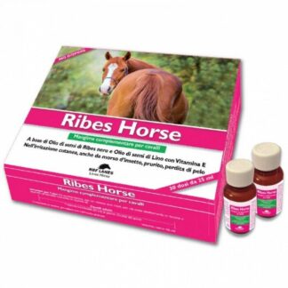 ribes horse