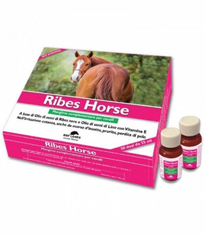 ribes horse